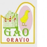 GAO ORAVIO